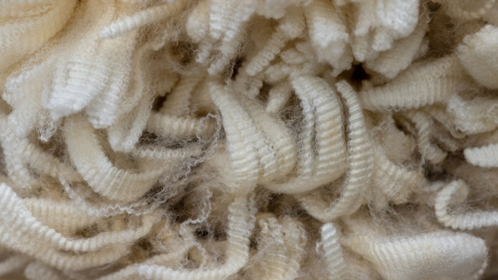 Close up of Merino wool fleece showing ultra-fine fibres.